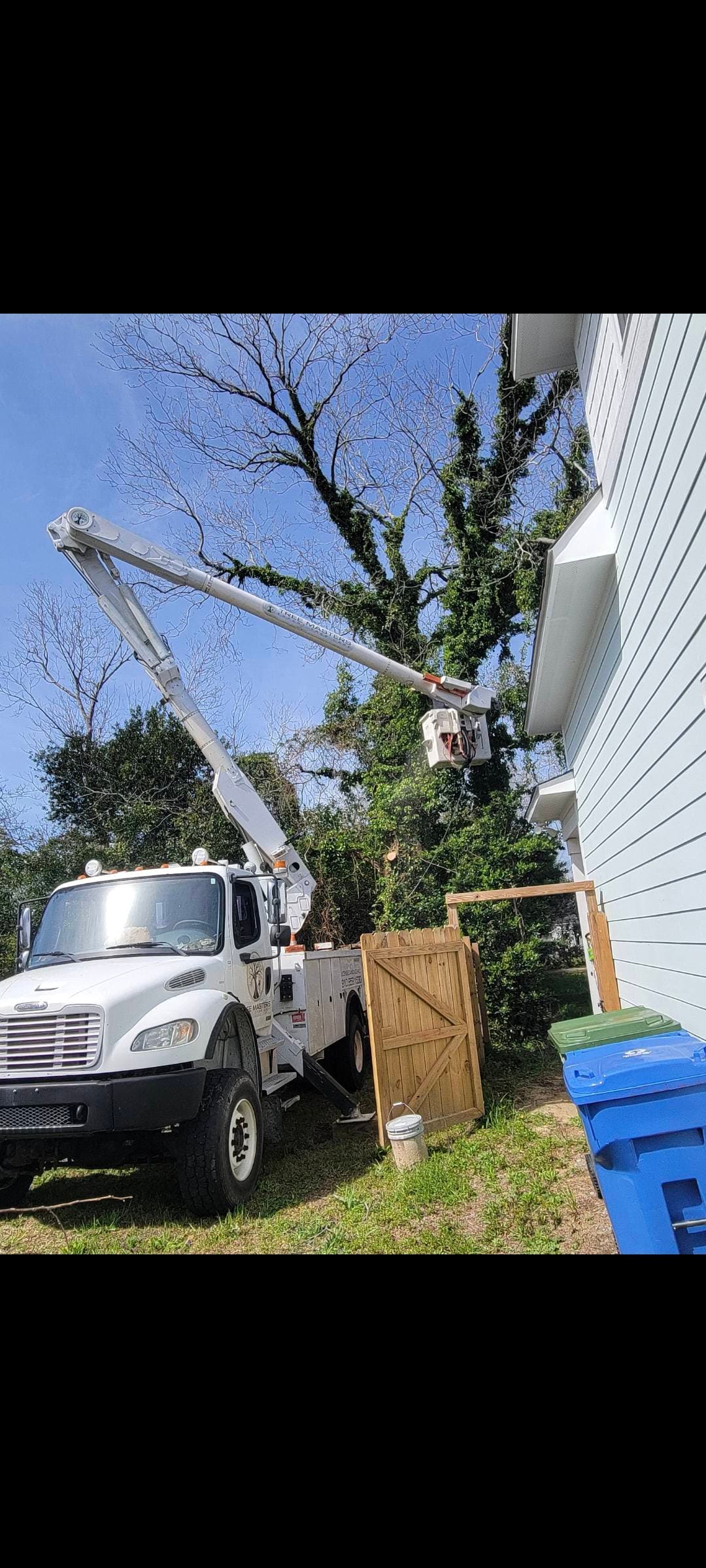 Bucket truck working a tree beside a coastal home